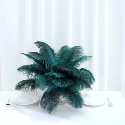 12 Pack Peacock Teal Natural Plume Real Ostrich Feathers, DIY Centerpiece Fillers 13"-15"