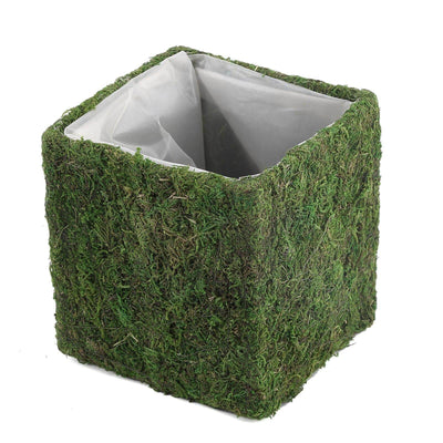 4-Pack Preserved Moss Planter Boxes 6" Square Covered Green with Inner Lining - Decorative Flower Baskets