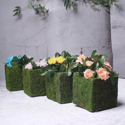 4-Pack Preserved Moss Planter Boxes 6" Square Covered Green with Inner Lining - Decorative Flower Baskets
